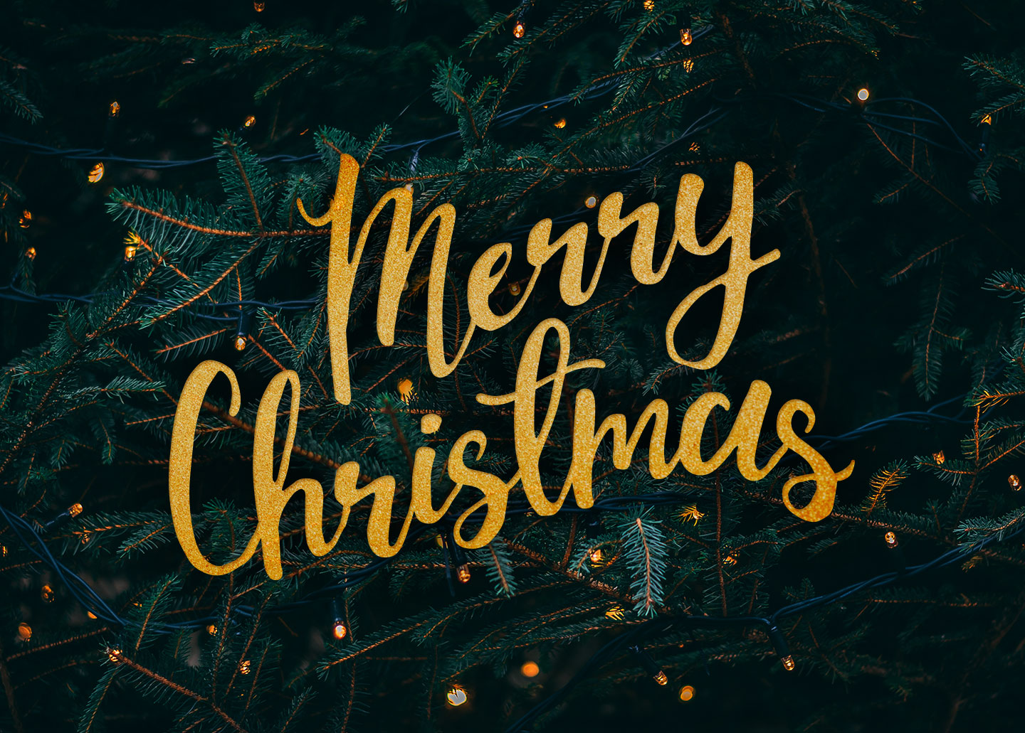 Merry Christmas Folks! - Lucid Digital Media